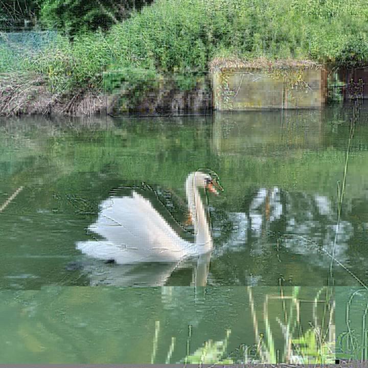 De Vliegende Vlinder Bed & Breakfast Nederweert Bagian luar foto