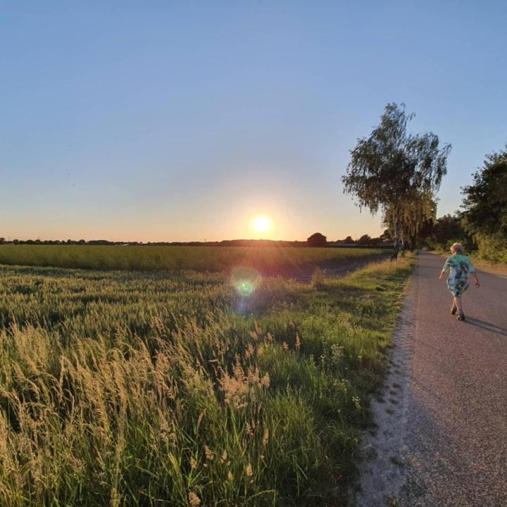 De Vliegende Vlinder Bed & Breakfast Nederweert Bagian luar foto