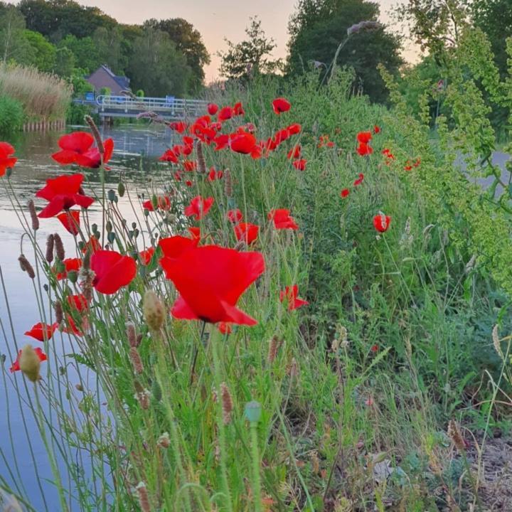 De Vliegende Vlinder Bed & Breakfast Nederweert Bagian luar foto