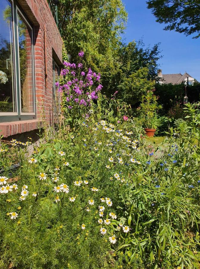 De Vliegende Vlinder Bed & Breakfast Nederweert Bagian luar foto