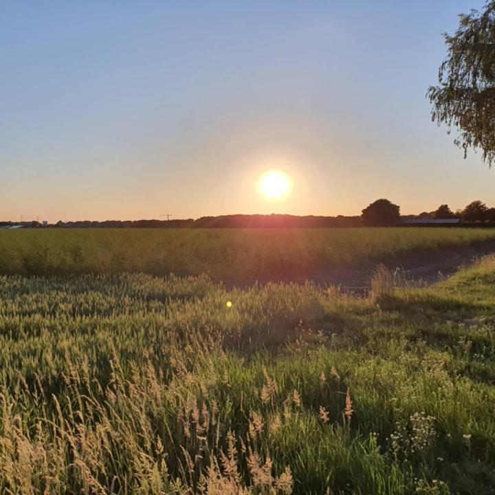 De Vliegende Vlinder Bed & Breakfast Nederweert Bagian luar foto