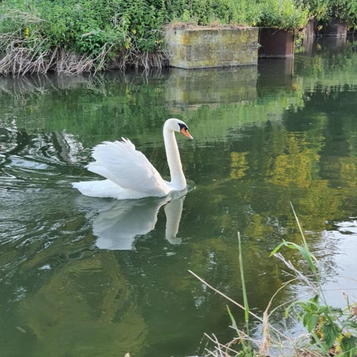 De Vliegende Vlinder Bed & Breakfast Nederweert Bagian luar foto